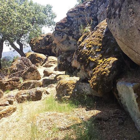 דירות Marvão Flor Da Ramila מראה חיצוני תמונה