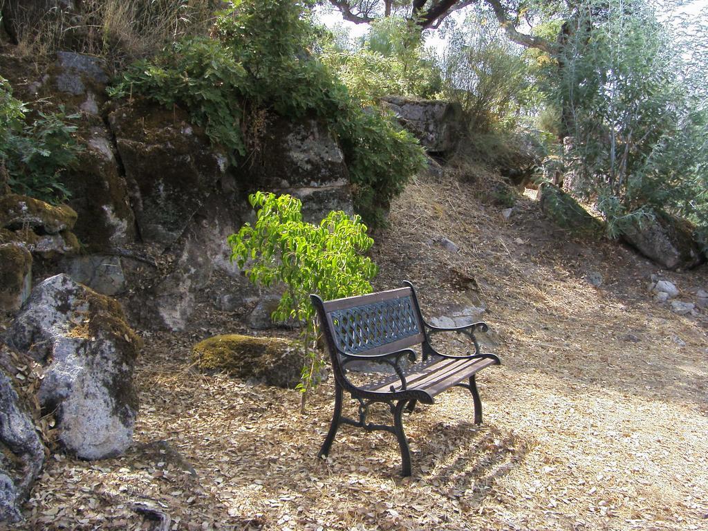 דירות Marvão Flor Da Ramila חדר תמונה